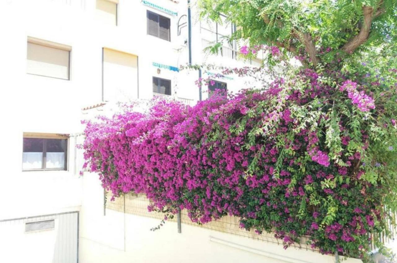 Bungalow Con Encanto, 100M2, A 800 M De La Playa 엘 캄펠로 외부 사진